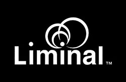 Liminal Strategy Partners 